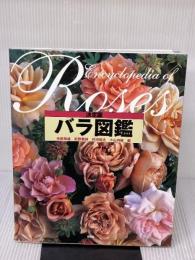 【※イタミ有り】バラ図鑑 決定版 講談社