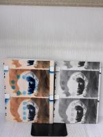 SCREEN TESTS/A DIARY limArt ジェラード・マランガ