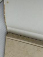 天城路慕情―「伊豆の踊子」のモデルを訪ねて (1978年)