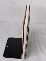 伊勢の神宮: ヤマトヒメノミコト御巡幸のすべて 和泉書院