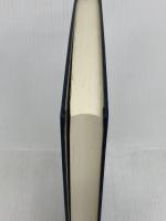 先例判例 養子法 日本加除出版 山本 正憲