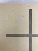 先例判例 養子法 日本加除出版 山本 正憲