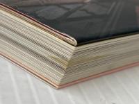 ベルリンの大人の部屋 賢く素敵なドイツ女性に学ぶ わたしスタイルの暮らし術 辰巳出版 久保田 由希