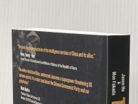 The Big Plot: Book One: The Return of the Phoenix Teklium Inc. JasonHo