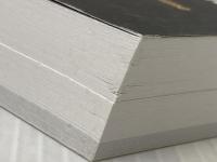 The Big Plot: Book One: The Return of the Phoenix Teklium Inc. JasonHo