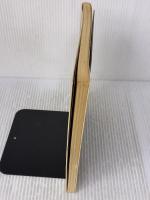 まあお入り GAT研究所 田中 真瑞