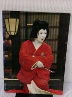 市川猿之助―代表役柄写真集 (1980年) 婦人画報社