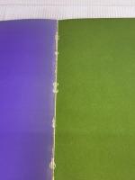 市川猿之助―代表役柄写真集 (1980年) 婦人画報社