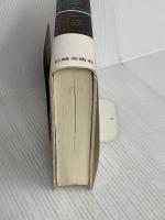 イタリア美術史: 東洋から見た西洋美術の中心 (岩崎美術選書) 岩崎美術社 田中 英道