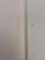 【※カバー無し・イタミ有り】法的思考の探究 (司法試験) 早稲田経営出版 一条 法樹