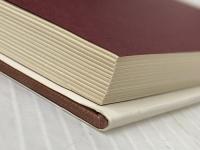 音楽療法の手引―音楽療法家のための (1980年) 牧野出版 松井 紀和