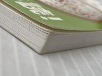 Brain&Kayo先生の冠詞ナビブック?冠詞のゴールデンルール? 株式会社フルーツフルイングリッシュ 株式会社フルーツフルイングリッシュ