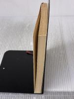 走馬燈: その人たちの人生 (新潮文庫 え 1-13)