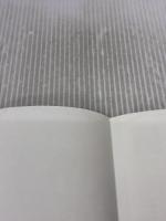 【※イタミ有り】辺境中毒! (集英社文庫) 集英社 高野 秀行