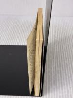 チャンネルはルリルリで・ 機動戦艦ナデシコ (角川mini文庫) KADOKAWA 大河内 一楼