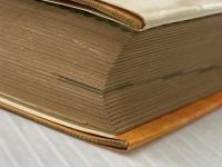 ※イタミ有 いざというときの ホームドクター