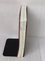 【※書き込み有り】一億人の英文法 ――すべての日本人に贈る「話すため」の英文法（東進ブックス） ナガセ 大西 泰斗