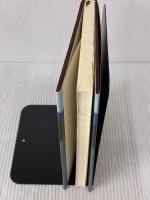 落日の舞: 郷土に殉じた戦国・悲運の武将 木耳社 織井 青吾