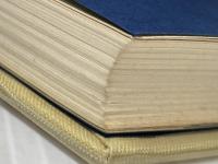 革命と生と死―大森実直撃インタビュー (1973年)