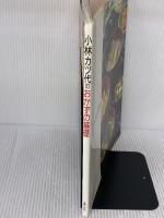 小林カツ代のおかずの基礎: ぶっつけ本番でコツがわかる (主婦の友生活シリーズ) 主婦の友社 小林 カツ代