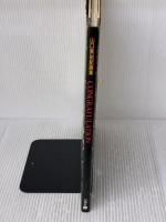 CONGRATULATION: 山口美由紀画集 フィーメンニンは謳うを中心に 白泉社 山口 美由紀