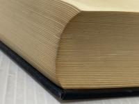 ※イタミ有 新刑事訴訟法綱要 (1967年)