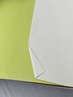 聖書の中の医療行為　イエズスと病人たち 聖母の騎士社 桑原寛