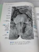 【※書き込み有り】ハインズ神経解剖学アトラス 第3版 メディカルサイエンスインターナショナル デュアン・E. ハインズ