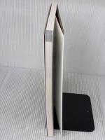 システム開発のためのWBSの作り方 日経BP 初田 賢司