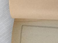 大塩平八郎 (中公文庫) 中央公論新社 幸田成友