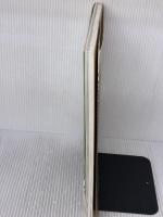 花の贈りもの: 布花 文化出版局 山上 るい