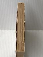 日常生活の冒険 (新潮文庫) 新潮社 大江健三郎