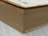 日常生活の冒険 (新潮文庫) 新潮社 大江健三郎