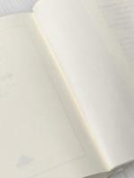 甘美なる作戦 (Crest books) 新潮社 イアン マキューアン