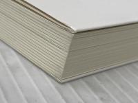 学校を変える いじめの科学 日本評論社 和久田 学