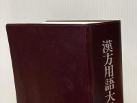 漢方用語大辞典 燎原書店