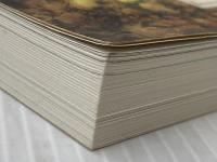 The Cellist of Sarajevo Riverhead Books StevenGalloway