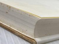 ※イタミ有 日本の淡水魚類: その分布、変異、種分化をめぐって 東海大学