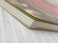 ルクエ スチームケース 料理 125レシピ 99808 ルクエ(Lekue)