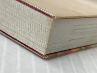 ※イタミ有 中国茶・台湾茶: 気楽に、本格的に、お茶のルーツを味わう (お茶の愉楽) 池田書店 有本 香