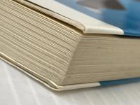 陳式太極拳: 理論と実技 ベースボール・マガジン社 余 鳳翔