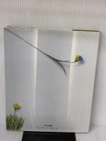 【※イタミ有り】野の花・野の草 (布花) 文化出版局 山上 るい