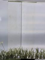 【※イタミ有り】野の花・野の草 (布花) 文化出版局 山上 るい