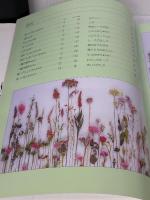 花のパレット (布花) 文化出版局 山上 るい