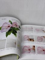 【※カバー無し】いちばんていねいな、自然の風景の水彩レッスン 日本文芸社 小林啓子