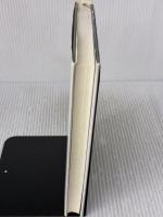 【※書き込み有り】知的生産性向上システム-DIPS ダイヤモンド社 小林 忠嗣