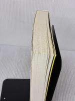 日本美術の歴史 東京大学出版会 辻惟雄