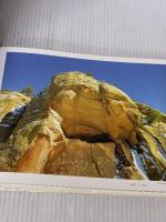 【※イタミ有り】The Orbs-Japan.com 三五館 薄羽 美江