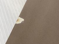 新ラテン文法 (1972年)