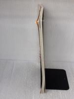 【※イタミ有り】ホームページの作成と改造 (エーアイムック 244) エヌジェーケーテクノ・システム 井上 健語